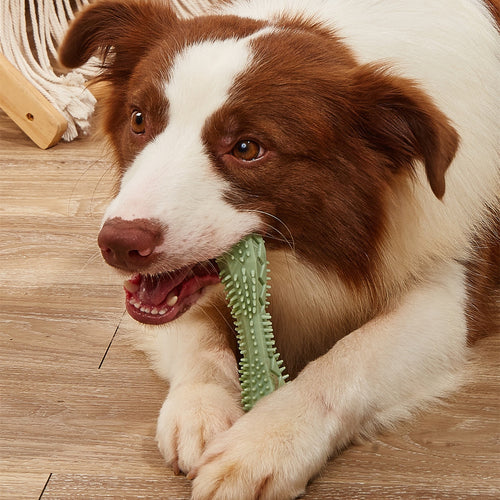 Durable Dog Chew Stick – Textured Dental Cleaning Toy for Aggressive Chewers