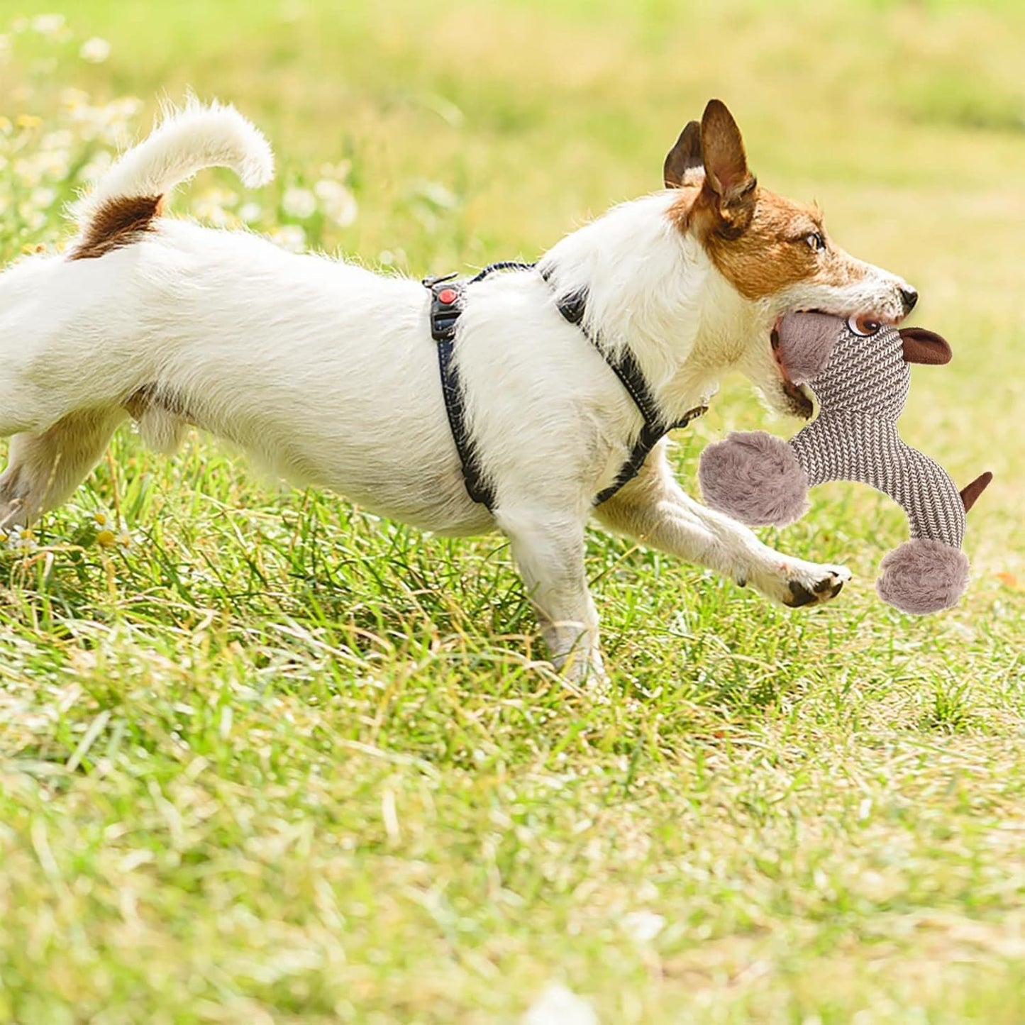 Large Dog Squeaky Toys Stuffed Animal Dog Plush Toy Dog Interactive Toy - Plush Dogs Chew Toy Stimulating Squeaky Pet Toys For Medium Large Dogs Puppy