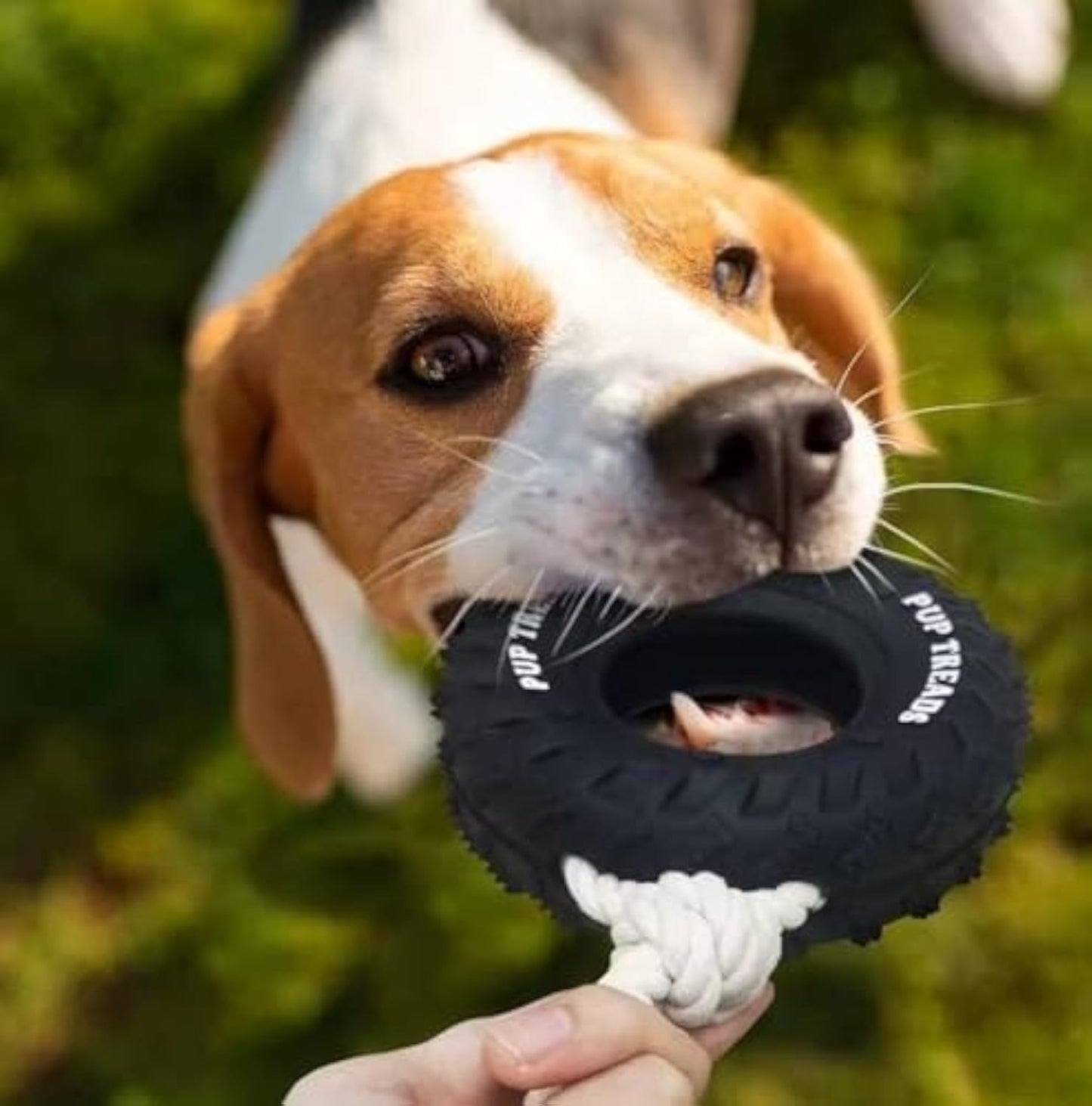 Tough Chew Toy for Large Dogs