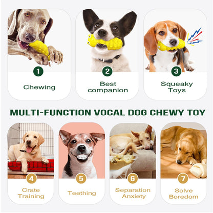 Tough Squeaky Dog Chew Toy