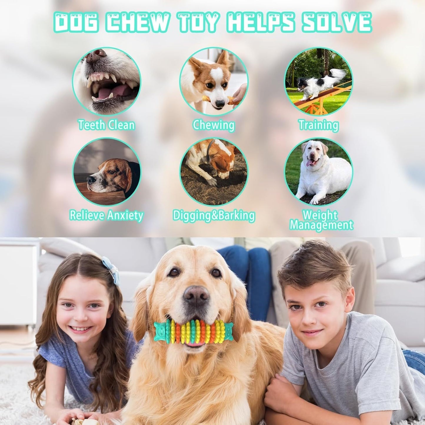 Durable Chew Toy for Aggressive Chewers