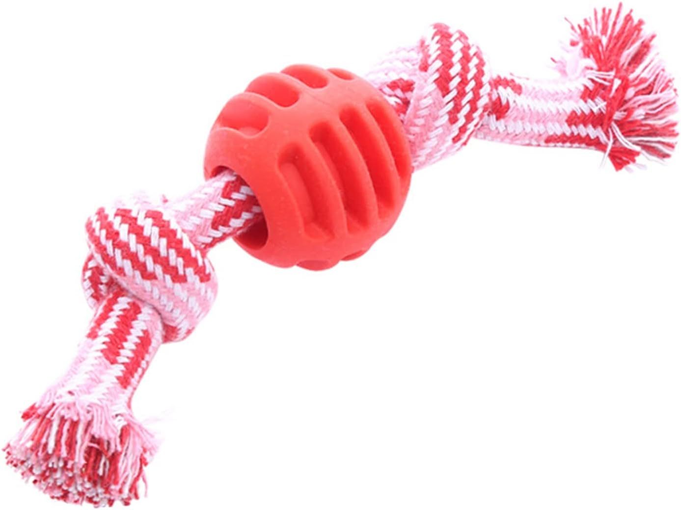 Durable Dog Chew Toy with Rope – Soft Molar Toy for Dental Health & Play