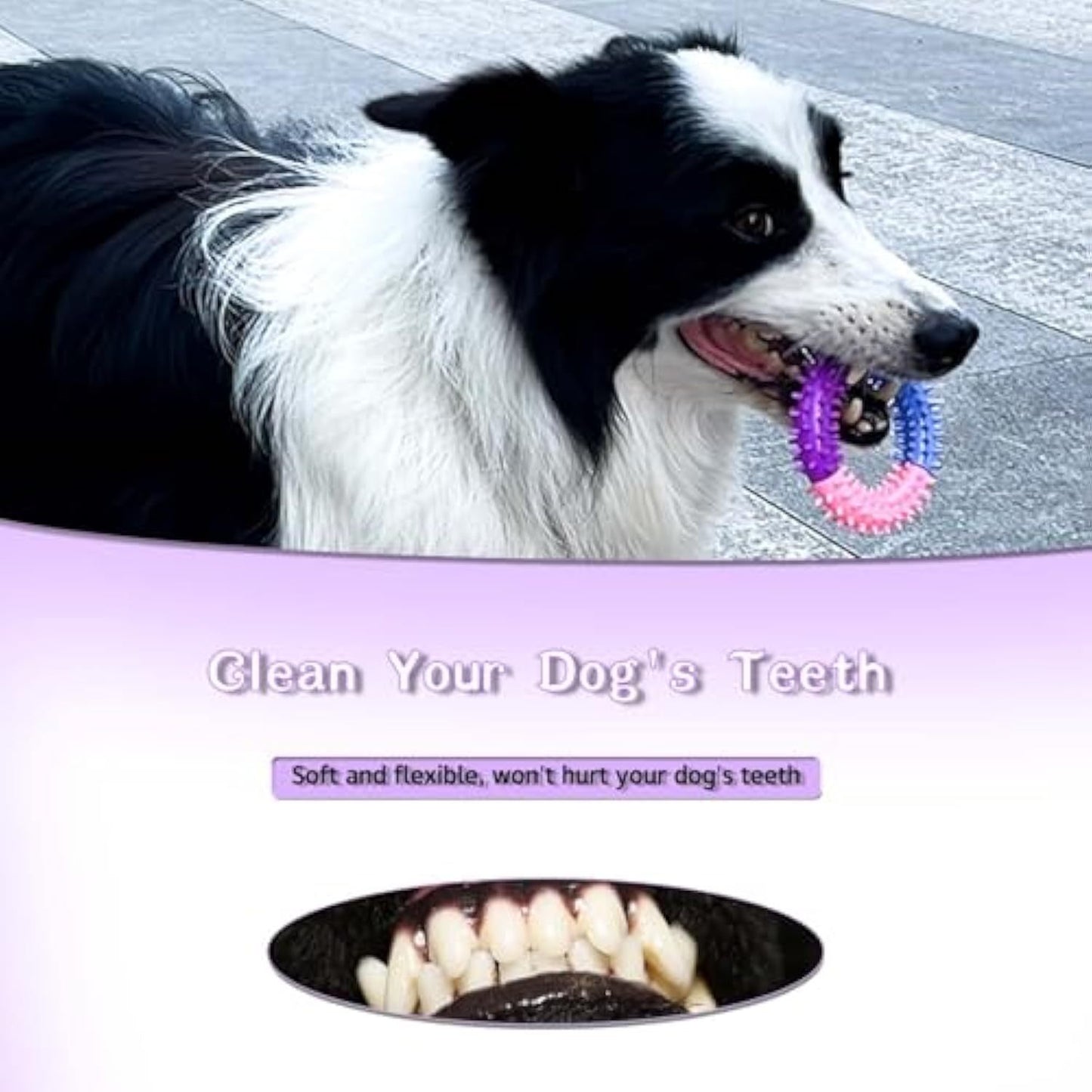 Durable Rubber Dog Chew Ring