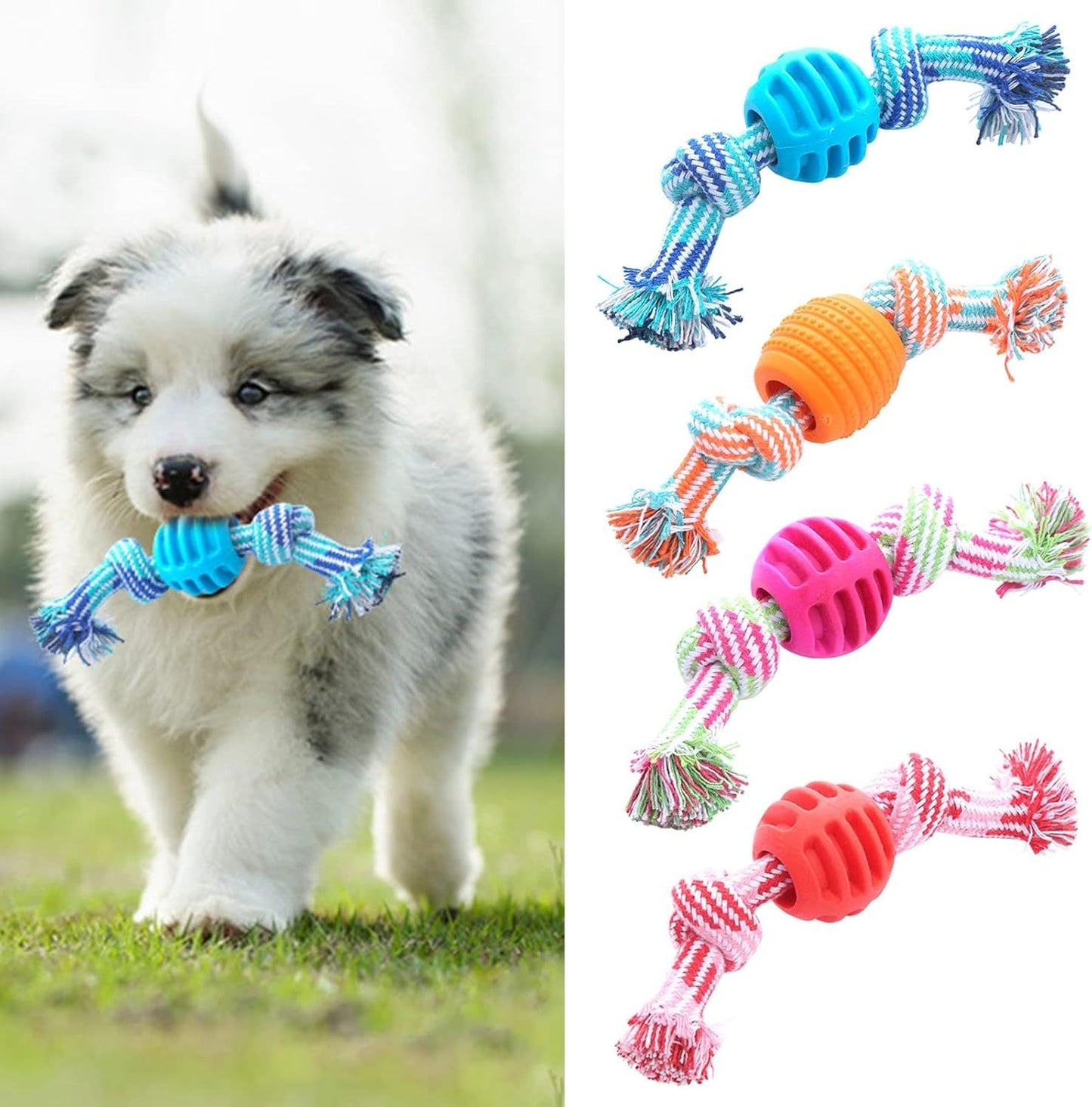 Durable Dog Chew Toy with Rope – Soft Molar Toy for Dental Health & Play