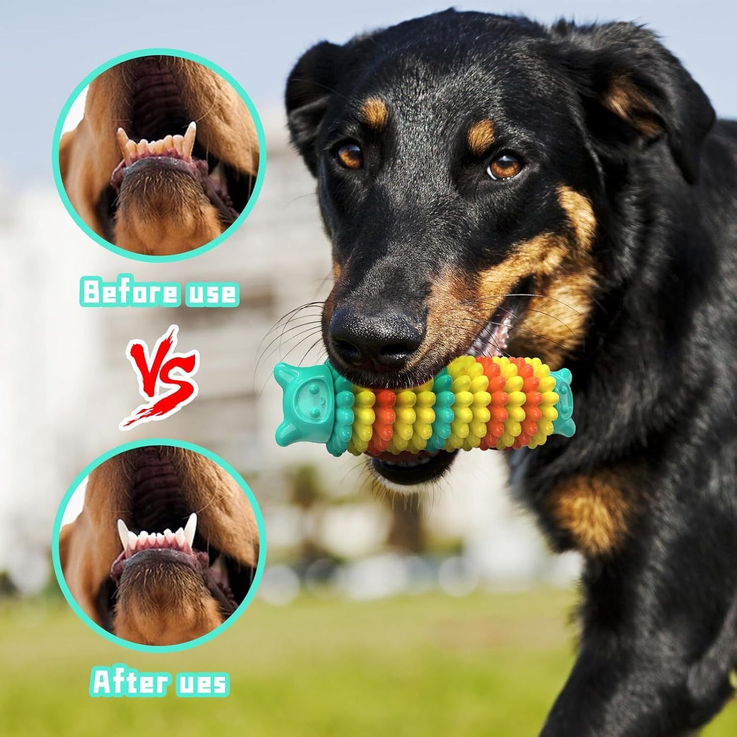 Durable Chew Toy for Aggressive Chewers