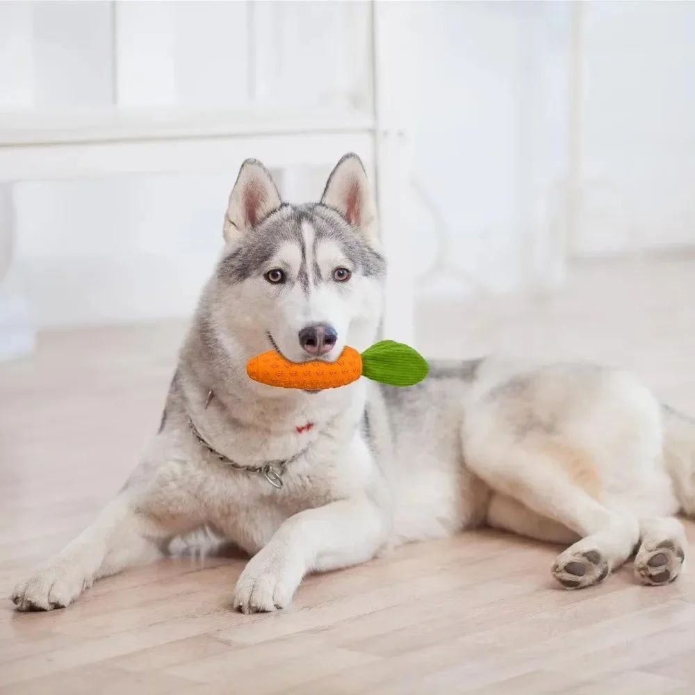 Carrot Dog Chew Toy – Durable Rubber Squeaky & Toothbrush Toy for Bored Pups