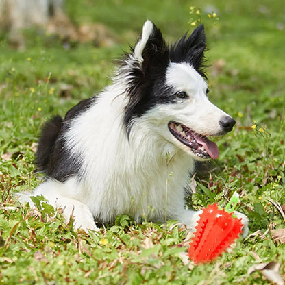 Interactive Dog Teething Chili Chewers Toy Interactive Toys Dog Toys