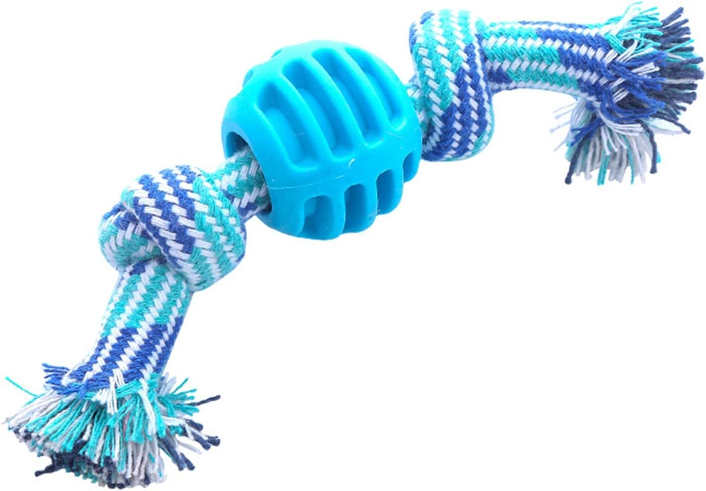 Durable Dog Chew Toy with Rope – Soft Molar Toy for Dental Health & Play